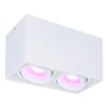 Esto smart Opbouwspot - Vierkant - Plafondspot - 2-Lichts - Kantelbaar - RGBWW - Wifi + Bluetooth - Google Home