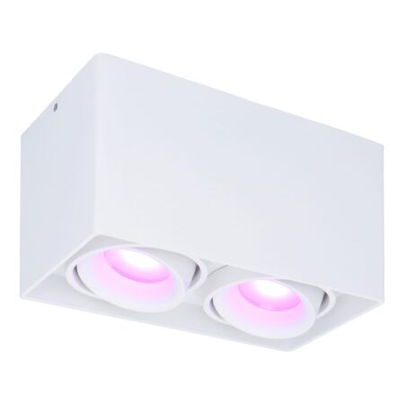 Esto smart Opbouwspot - Vierkant - Plafondspot - 2-Lichts - Kantelbaar - RGBWW - Wifi + Bluetooth - Google Home