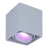 Esto smart Opbouwspot - Vierkant - Plafondspot - Kantelbaar - RGBWW - Wifi + Bluetooth - Google Home