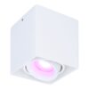 Esto smart Opbouwspot - Vierkant - Plafondspot - Kantelbaar - RGBWW - Wifi + Bluetooth - Google Home