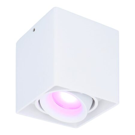 Esto smart Opbouwspot - Vierkant - Plafondspot - Kantelbaar - RGBWW - Wifi + Bluetooth - Google Home