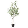 Eucalyptus Groen XL |