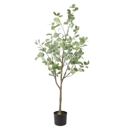 Eucalyptus Groen XL |