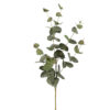 Eucalyptus green 131125 |