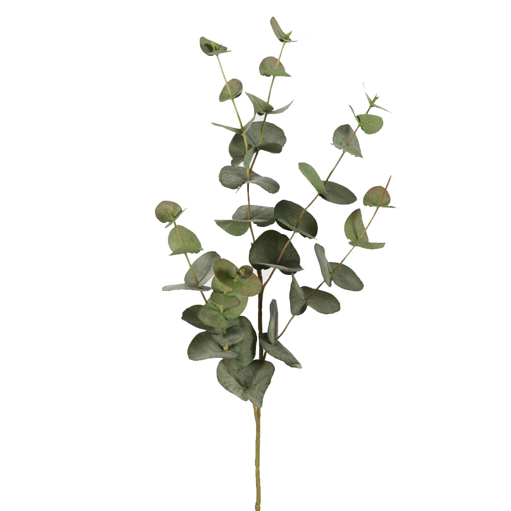 Eucalyptus green 131125 |