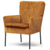 Fauteuil Hulst |