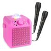 Fenton KAR55P karaoke set met 2 microfoons - Karaoke speaker met | Fenton