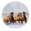 Gave Special Paarden glasplaat |