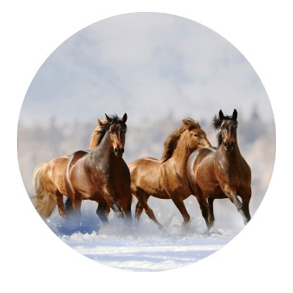 Gave Special Paarden glasplaat |