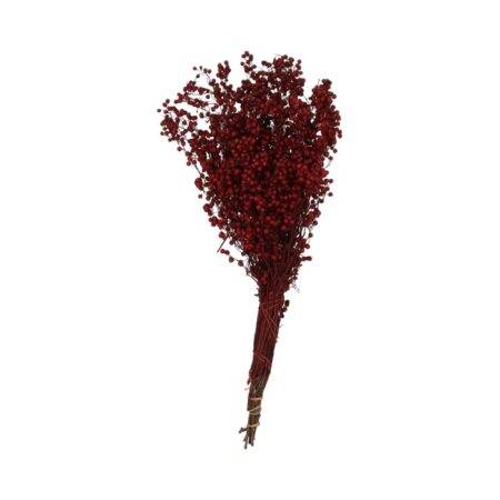 Gedroogde Pepperberries Wijn Red | HBX natural living