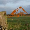 Geluksvogel Mezen paartje - Roest Metaal | Artbizniz