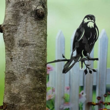 Geluksvogel havik | Artbizniz