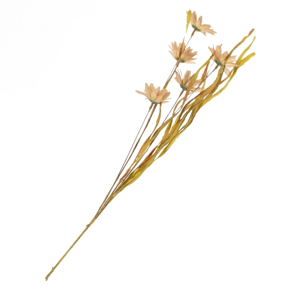 Gerbera oudroze |