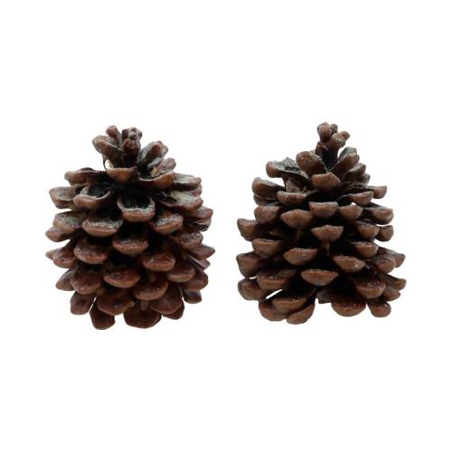 Geur dennenappels Pine Tree 2 stuks | HBX natural living