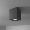 Gibbon LED Opbouwspot - Viekant - 4 Watt 345 Lumen - 6500K Daglicht wit - GU10 - IP65 Badkamer Opbouwspot - Voor binnen en buitengebruik - Zwart | HOFTRONIC