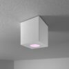 Gibbon - LED smart opbouwspot - vierkant - IP65 waterdicht - GU10 - RGBWW - Wifi + Bluetooth - Google Home