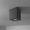 Gibbon - LED smart opbouwspot - vierkant - IP65 waterdicht - GU10 - RGBWW - Wifi + Bluetooth - Google Home