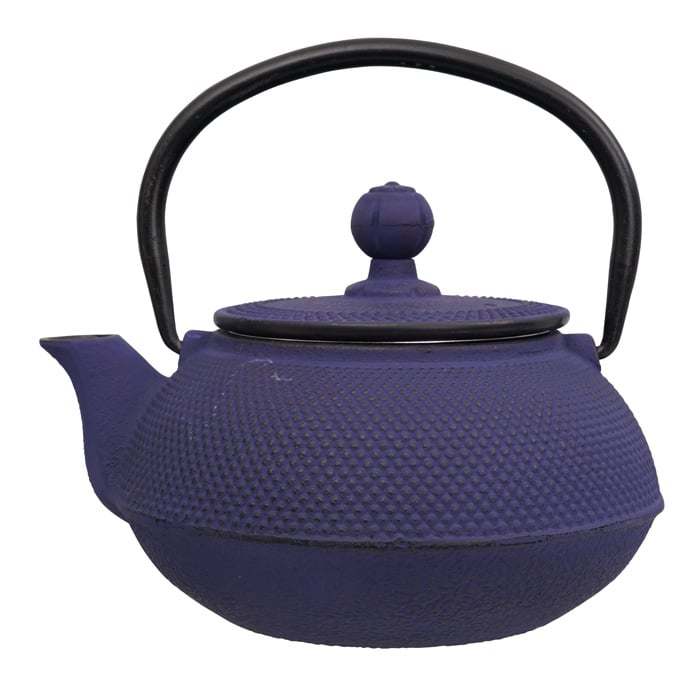 Gietijzeren Theepot Traditioneel Japans - Blauw - 600ml | Tokyo Design Studio
