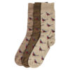 Giftbox sokken Fazant Trench/ Beech | Barbour