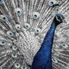 Glasschilderij Pauw schilderij | Gave Specials