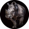 Glasschilderij rond Neushoorn | Gave Specials
