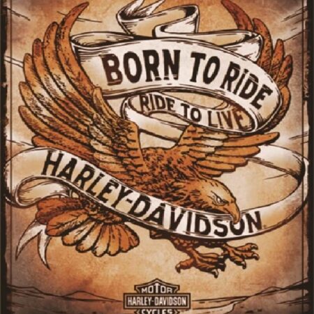 Harley Davidson Born to Ride Eagle wandplaat | Nostalgic Art