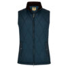 Heren bodywarmer Colamber Navy | Dubarry