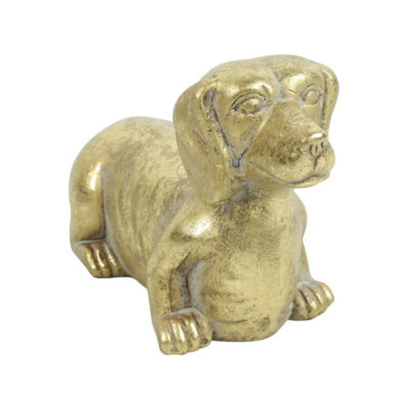 Hond Freggel Goud S | Countryfield