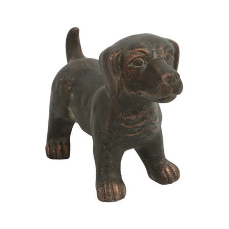 Hond Sita Bruin S -1 | Countryfield