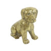 Hond zittend Lina Goud S | Countryfield