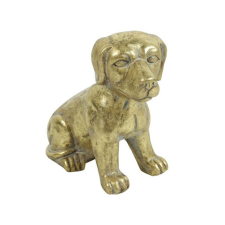 Hond zittend Lina Goud S | Countryfield