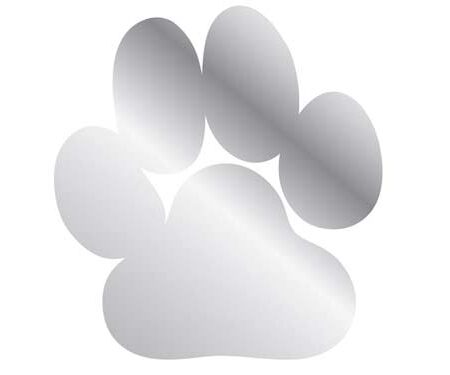 Honden poot muurdecoratie / Artis | Artis