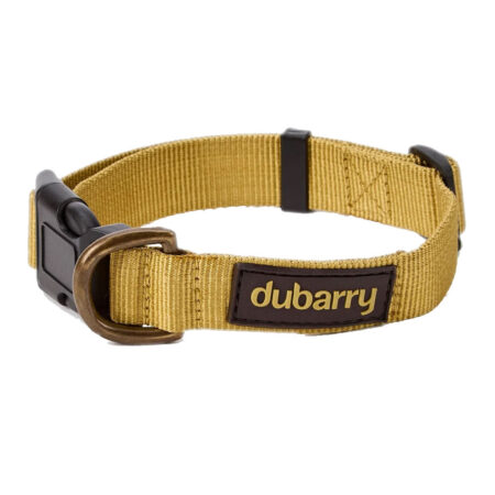 Hondenhalsband Apollo Gold | Dubarry