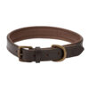 Hondenhalsband Axel Mahogany Leer | Dubarry