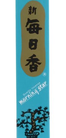 Japanse Wierook Morningstar - Jasmin - Set 50 Stokjes | Geen Merk