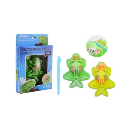 Johntoy Science kikker anatomie slijm | Johntoy
