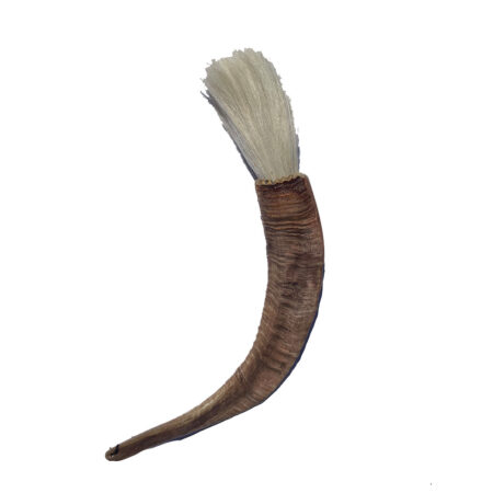 Kalligrafeer kwast ramshoorn |