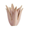 Kandelaar Cactus keramiek koraal S | Light & Living
