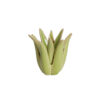 Kandelaar Cactus keramiek lichtgroen | Light & Living