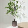 Kave Home Kunstplant Enkianthus 214cm - Groen | Kave Home
