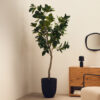 Kave Home Kunstplant Ficus 210cm hoog
