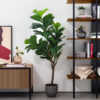 Kave Home Kunstplant 'Ficus' | Kave Home