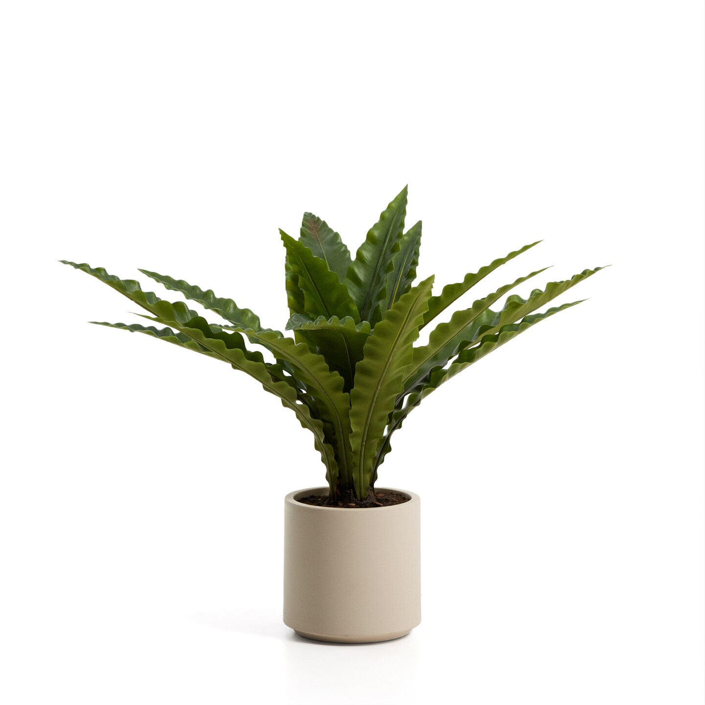 Kave Home Kunstplant Neottopteris 70cm - Groen | Kave Home