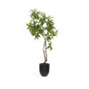 Kave Home Kunstplant Pachira 180cm hoog - Groen | Kave Home