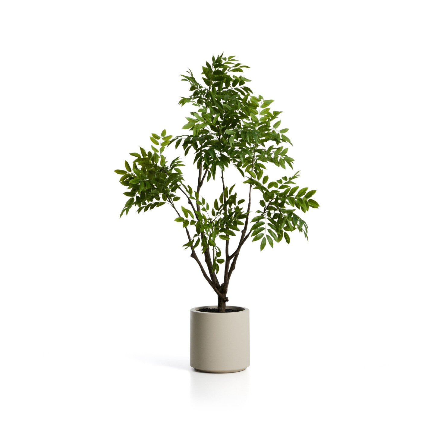 Kave Home Kunstplant Rhus Incl. witte pot