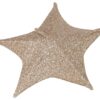 Kerst Ster 50Cm 30 Led Stof Goud |