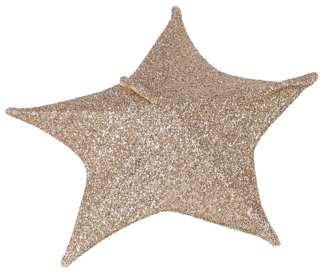 Kerst Ster 50Cm 30 Led Stof Goud |
