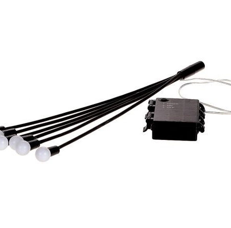 Kerstverlichting LED Firefly 2 stuks | HBX natural living