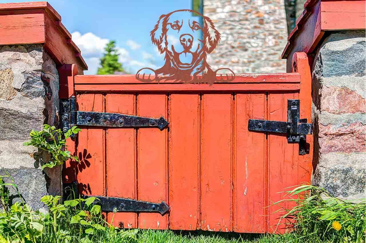 Kiekeboe dieren roestkleurig hond Sam | Artbizniz