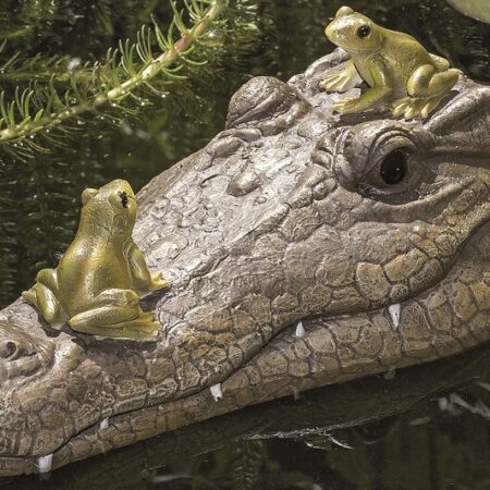 Krokodil Ally Drijvend | Boltze